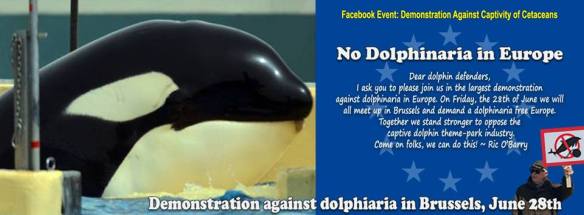 Be a voice for Morgan and Join the Event to No Dolphinaria in Europe on June 28, 2013